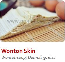 wonton skin